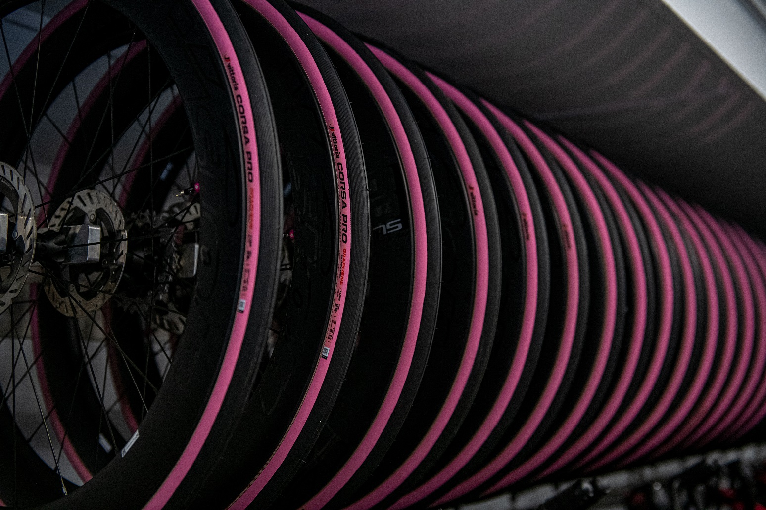 Technologie VITTORIA/Corsa_PRO_Pink_tires_1